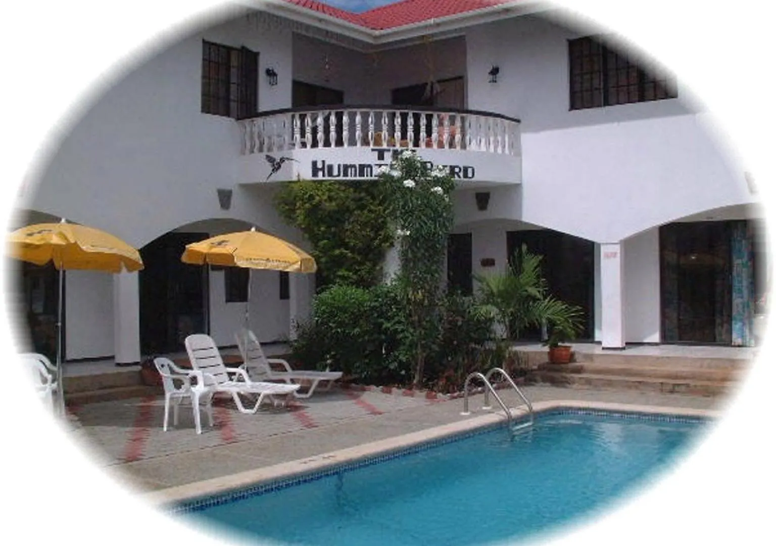The Hummingbird location